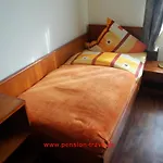 Trave Pension