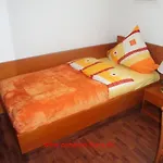 Trave Pension